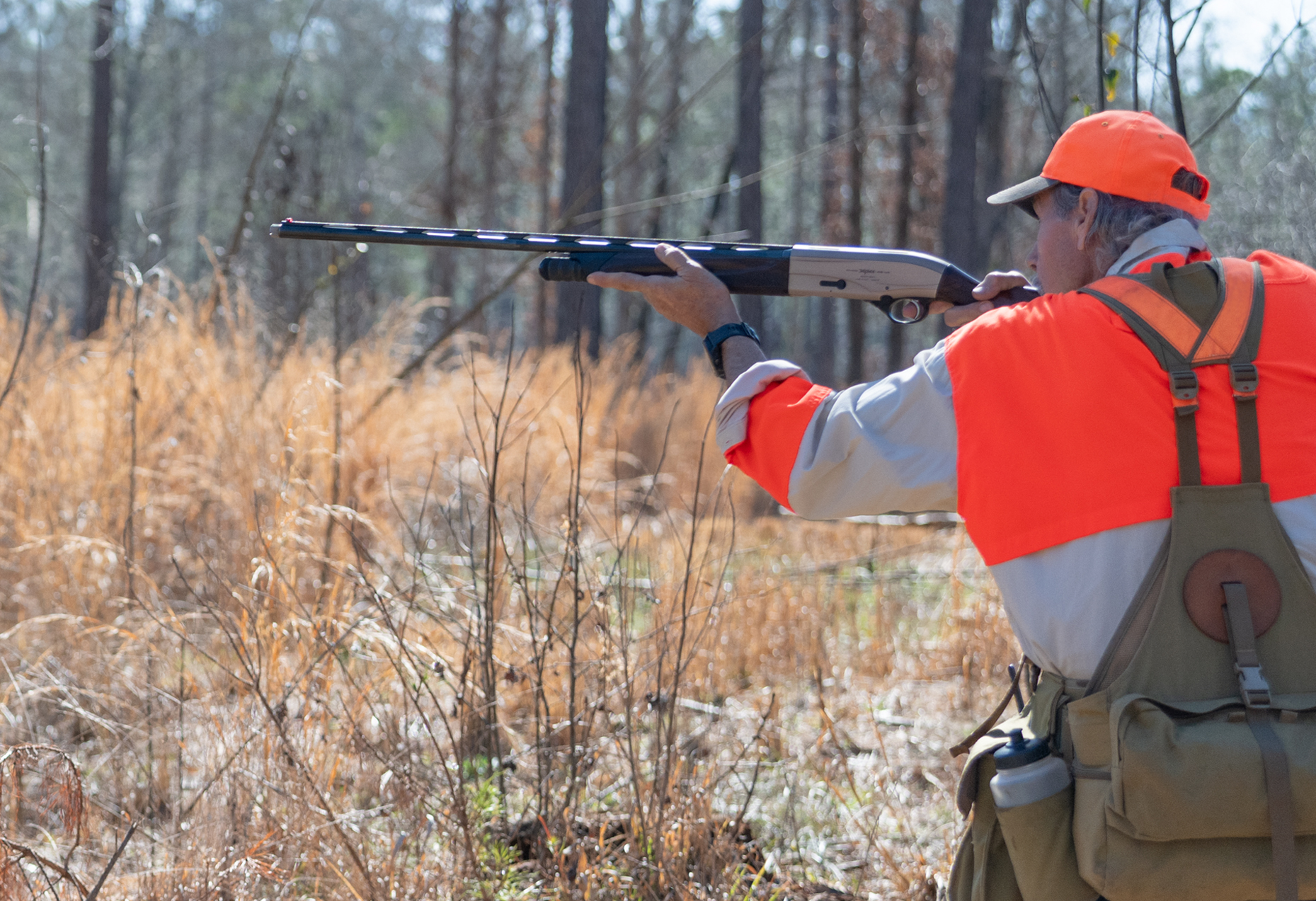 quail hunter shooting