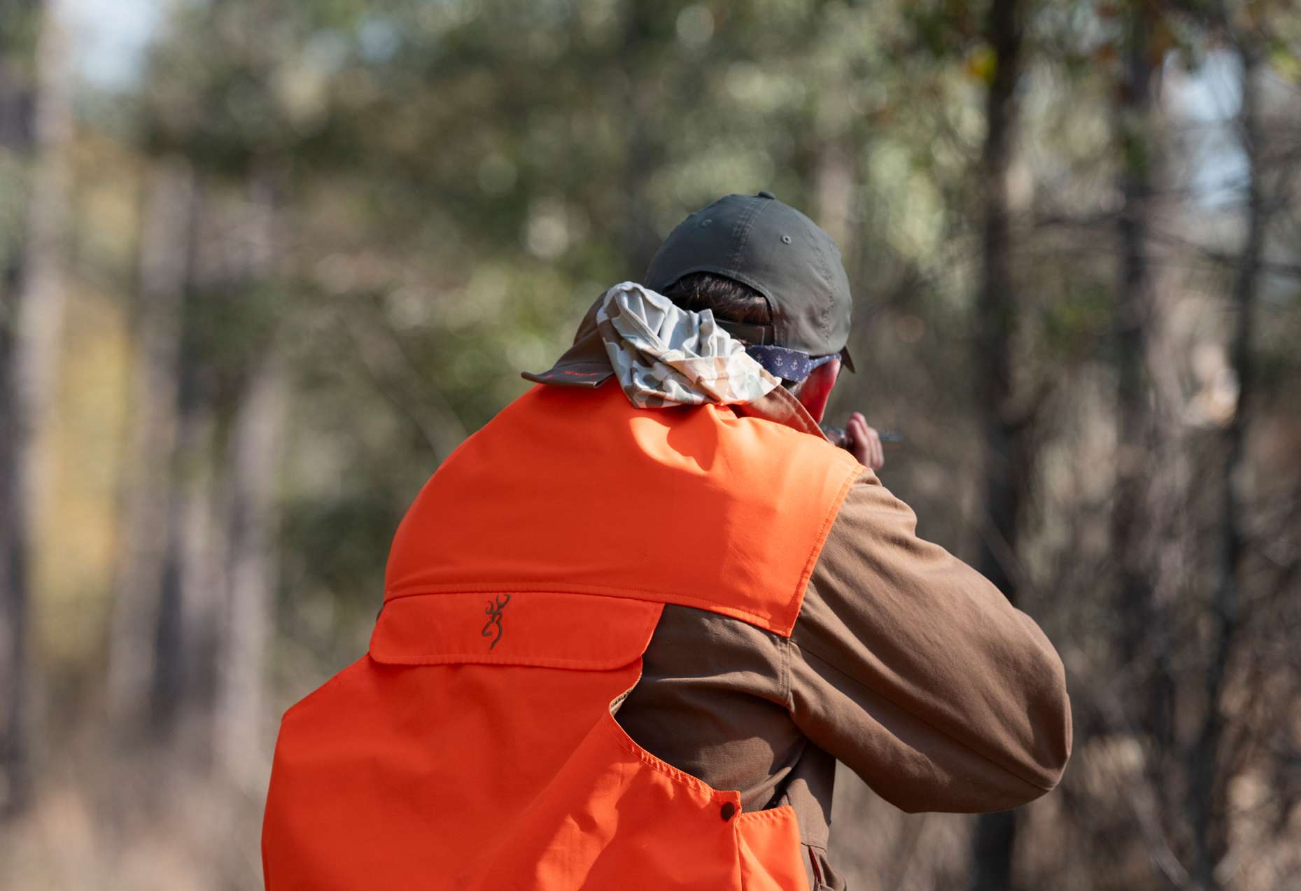 quail hunter shooting